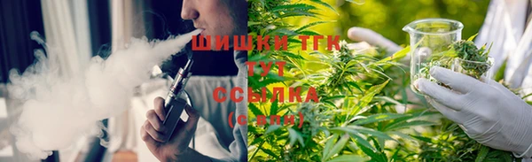 дживик Бородино