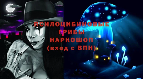 шишки Белоозёрский