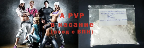 ГАЛЛЮЦИНОГЕННЫЕ ГРИБЫ Белокуриха