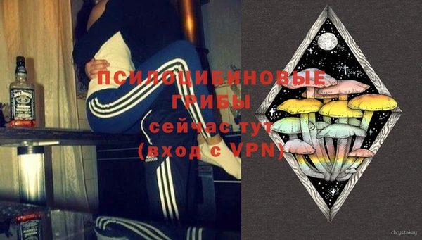 ГАЛЛЮЦИНОГЕННЫЕ ГРИБЫ Белокуриха