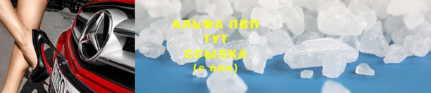 ГАЛЛЮЦИНОГЕННЫЕ ГРИБЫ Белокуриха