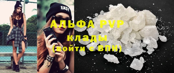 шишки Белоозёрский