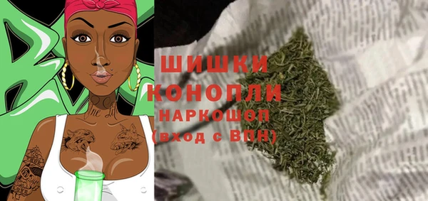 шишки Белоозёрский