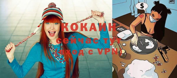 шишки Белоозёрский