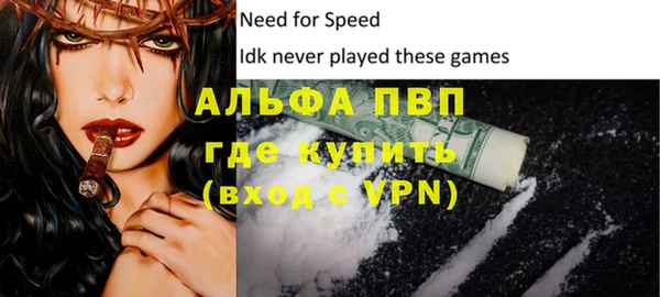 шишки Белоозёрский