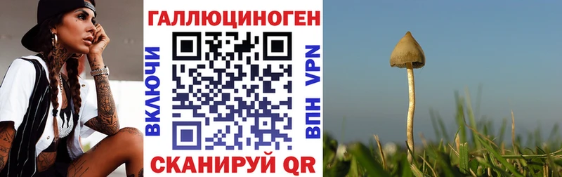 Псилоцибиновые грибы мухоморы  блэк спрут ТОР  Афипский 